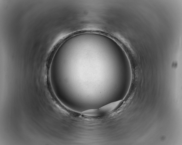 X0000099451408200805091456