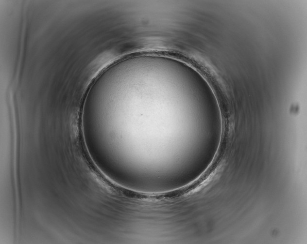 X0000099451409200805091456