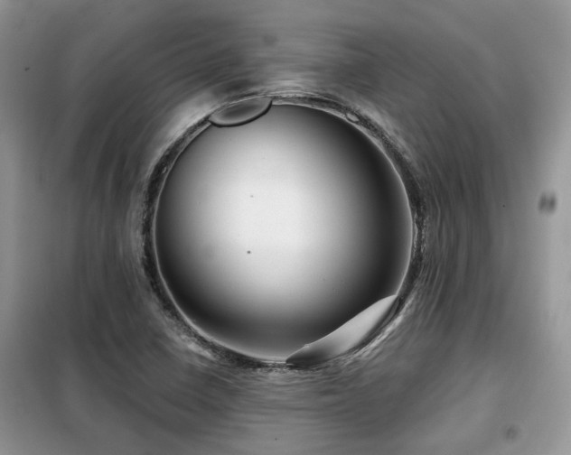 X0000099451410200805091456