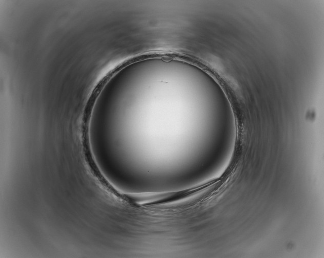 X0000099451412200805091456