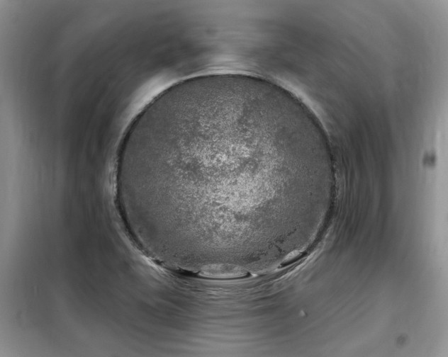 X0000099451415200805091456