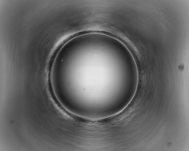 X0000099451416200805091456