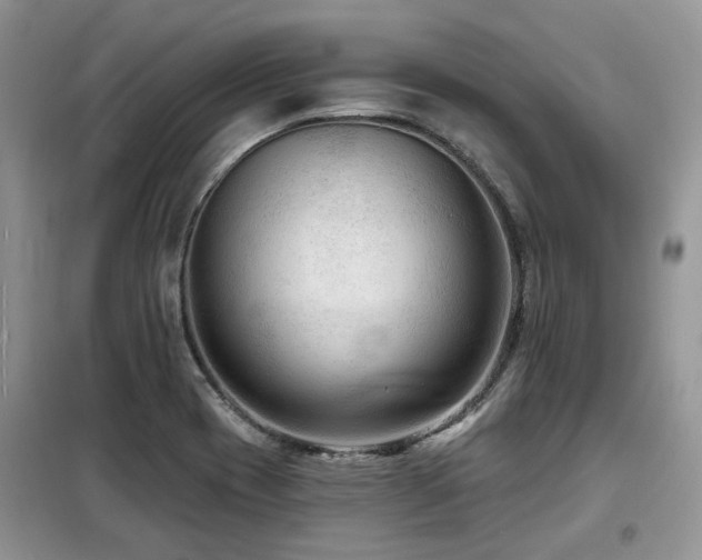 X0000099451417200805091456