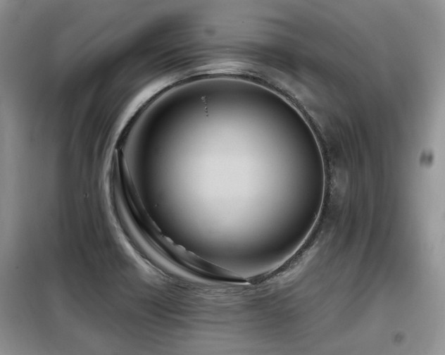 X0000099451418200805091456