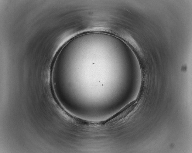 X0000099451420200805091456