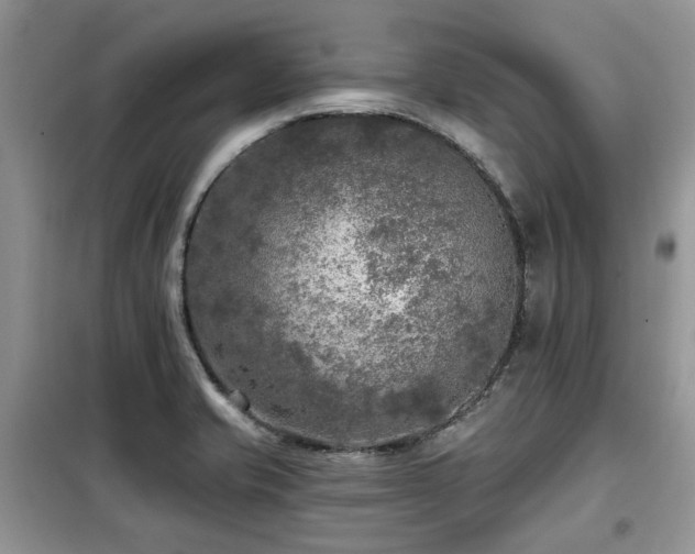 X0000099451421200805091456
