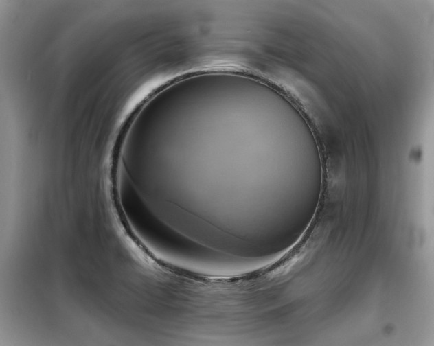 X0000099451422200805091456
