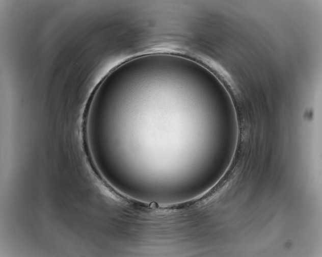 X0000099451423200805091456