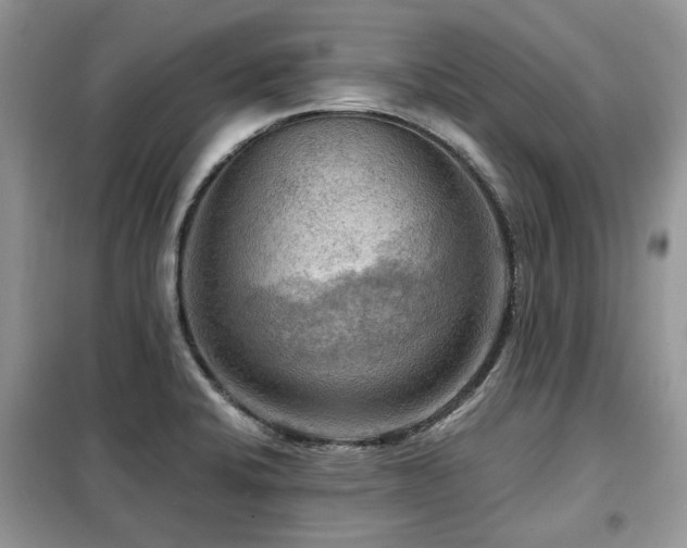 X0000099451424200805091456