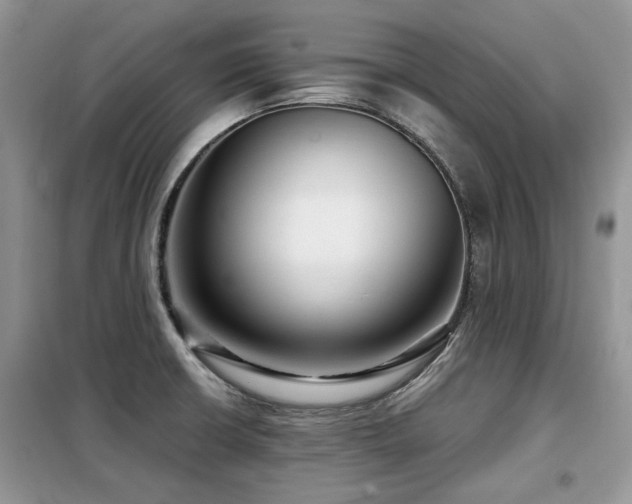 X0000099451426200805091456