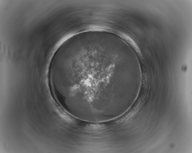 X0000099451427200805091456