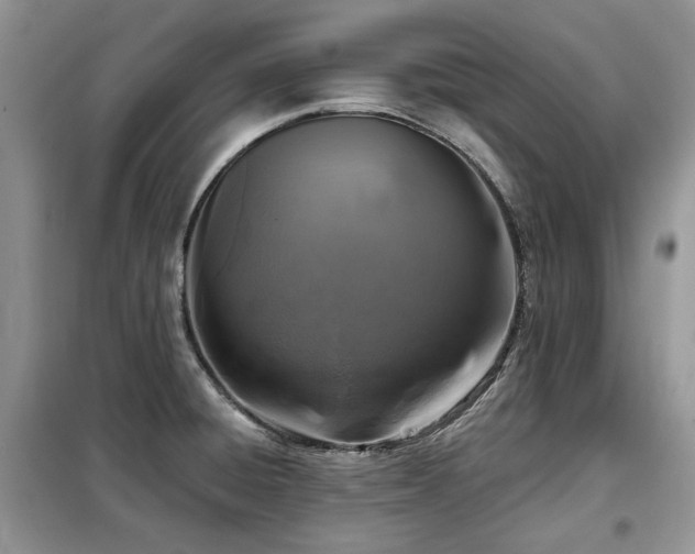 X0000099451428200805091456