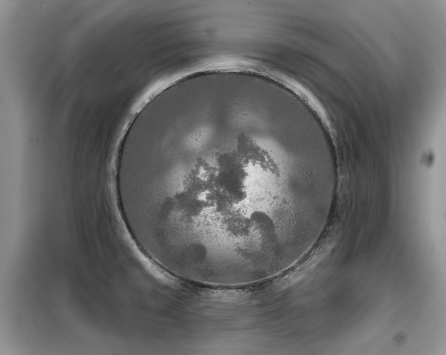 X0000099451429200805091456