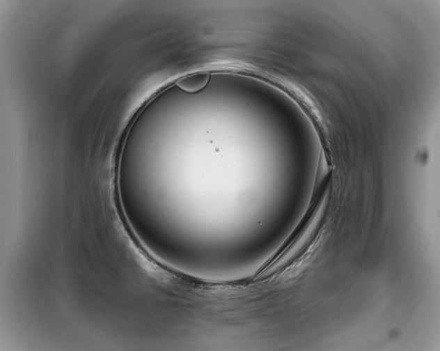 X0000099451430200805091456