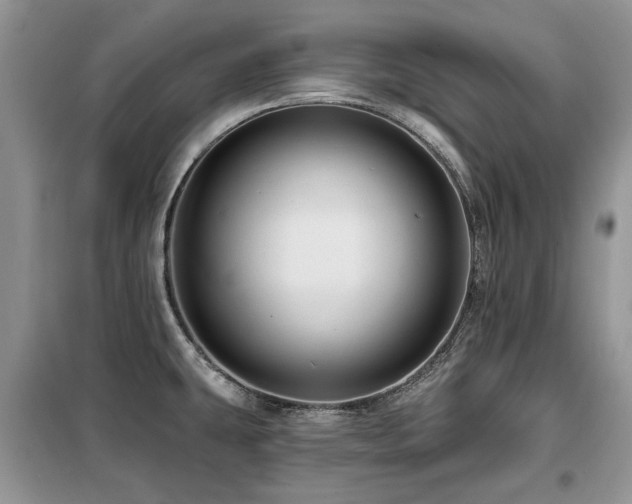 X0000099451431200805091456