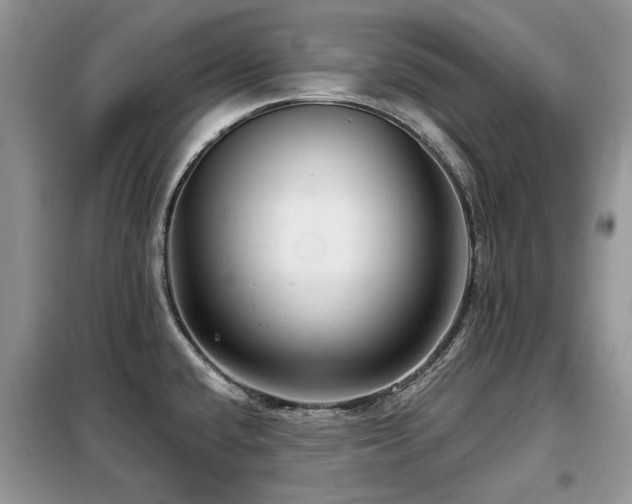 X0000099451432200805091456