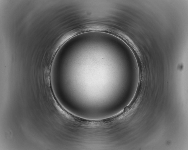 X0000099451433200805091456