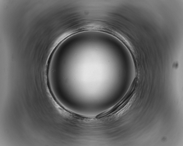 X0000099451434200805091456