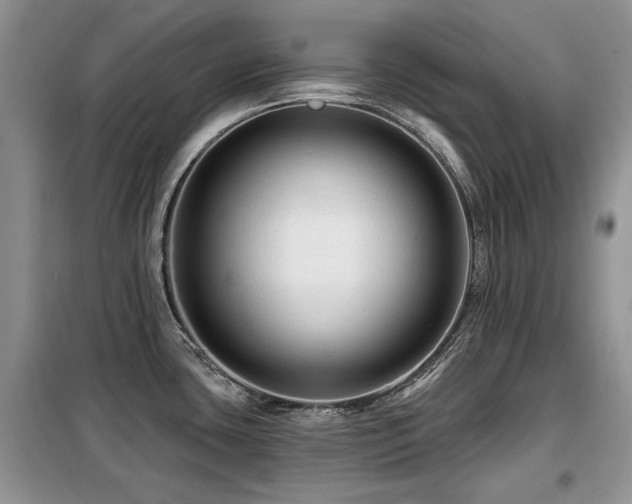 X0000099451435200805091456