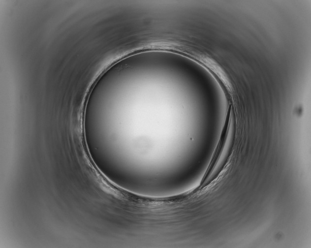 X0000099451436200805091456