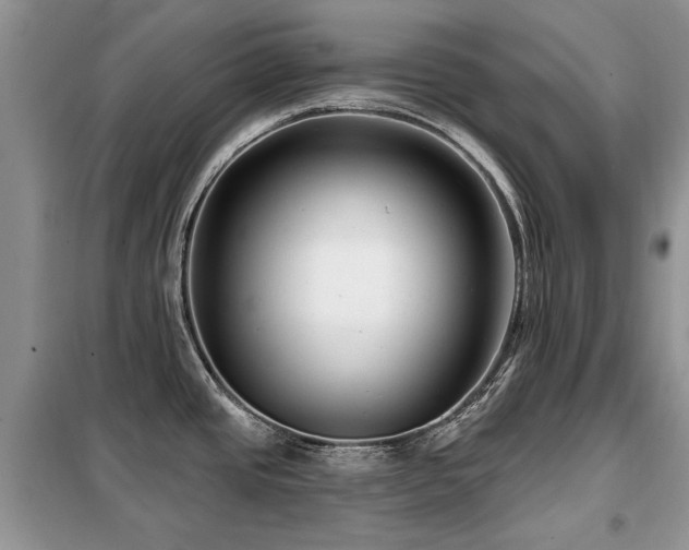 X0000099451437200805091456