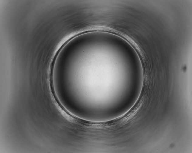 X0000099451438200805091456