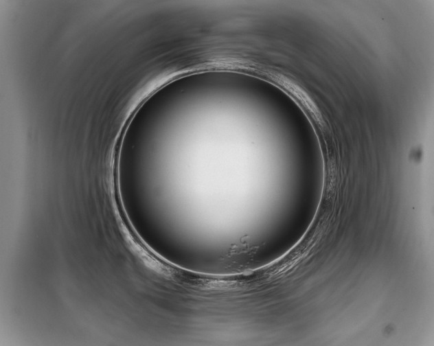 X0000099451439200805091456