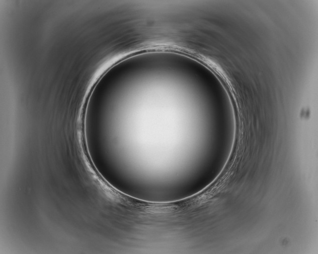 X0000099451440200805091456