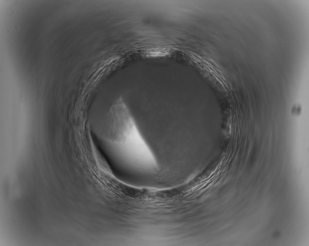 X0000099451441200805091456