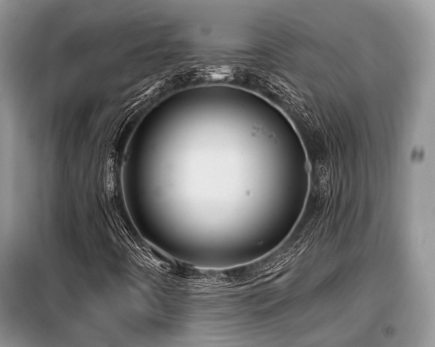 X0000099451442200805091456
