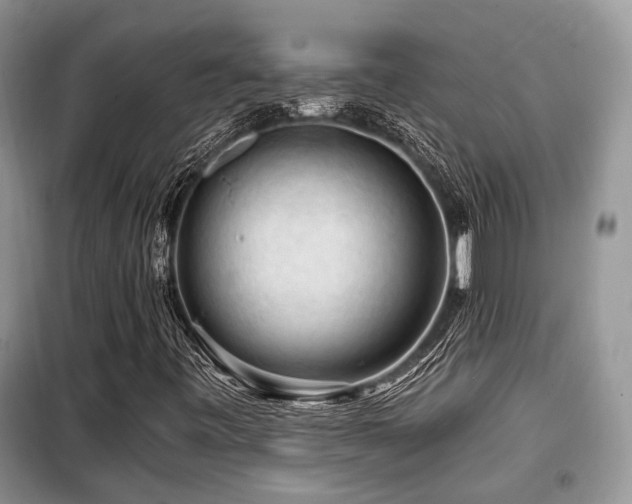 X0000099451443200805091456