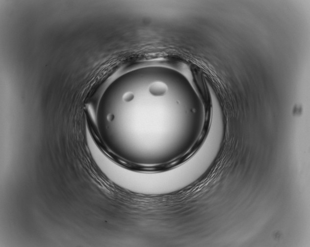 X0000099451444200805091456