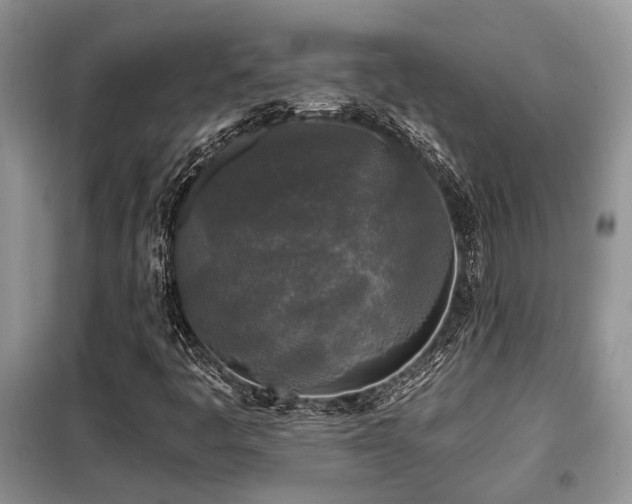 X0000099451445200805091456