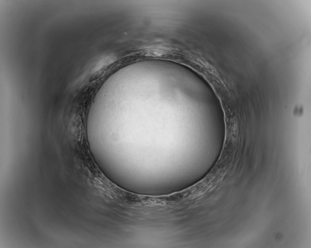 X0000099451446200805091456