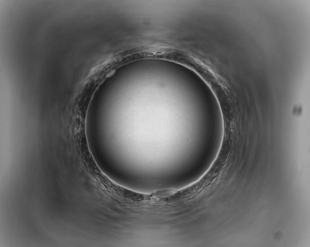 X0000099451447200805091456
