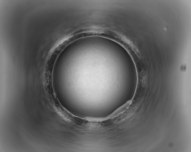 X0000099451448200805091456