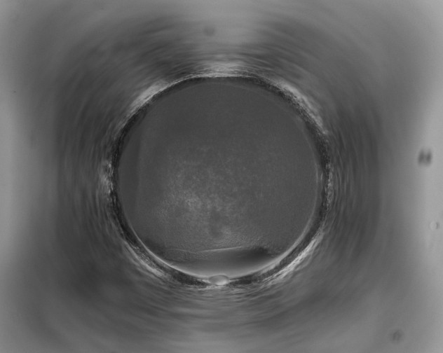 X0000099451449200805091455