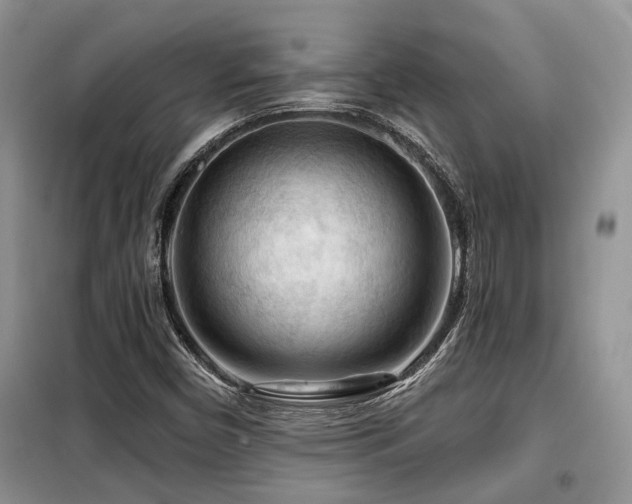 X0000099451450200805091455