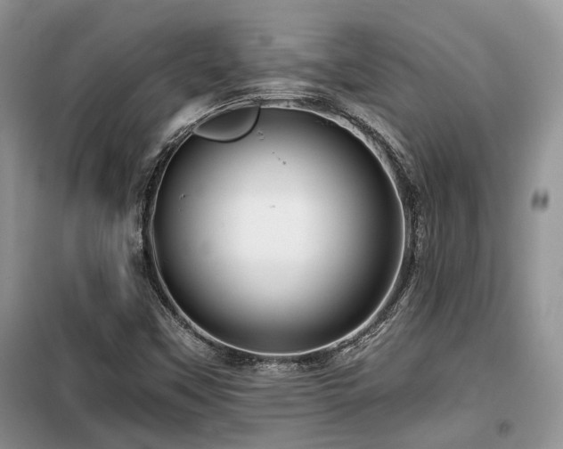 X0000099451451200805091455