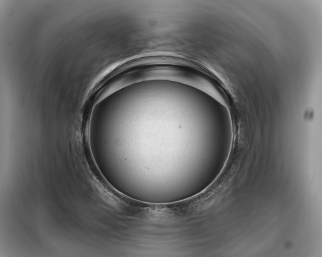 X0000099451452200805091455