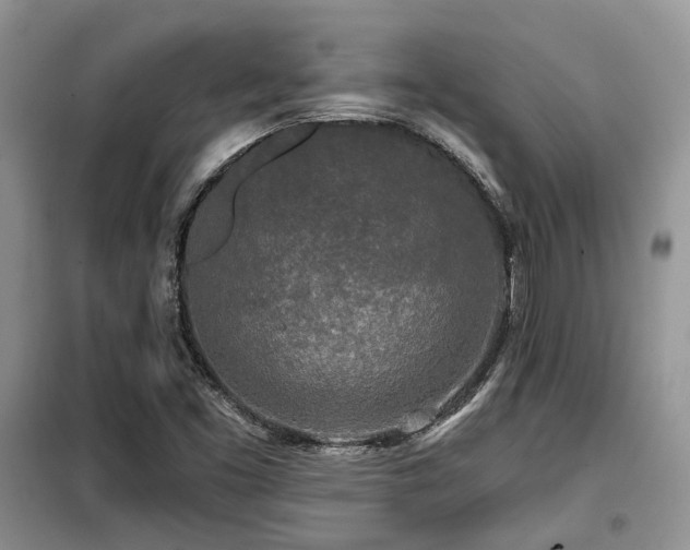 X0000099451453200805091455