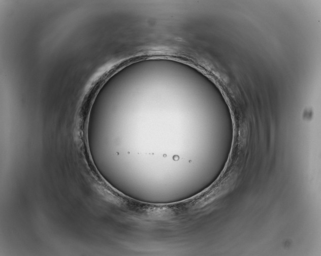 X0000099451454200805091455