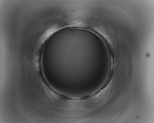 X0000099451455200805091455