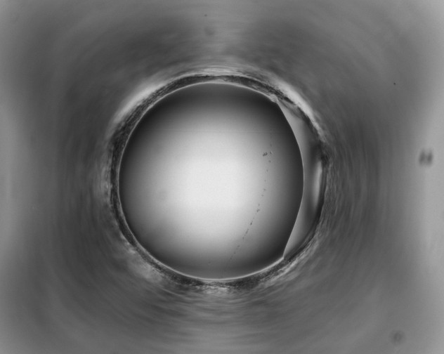 X0000099451456200805091455