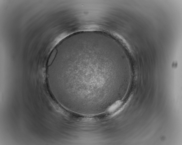 X0000099451457200805091455