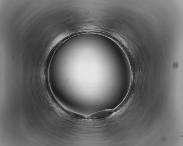 X0000099451458200805091455