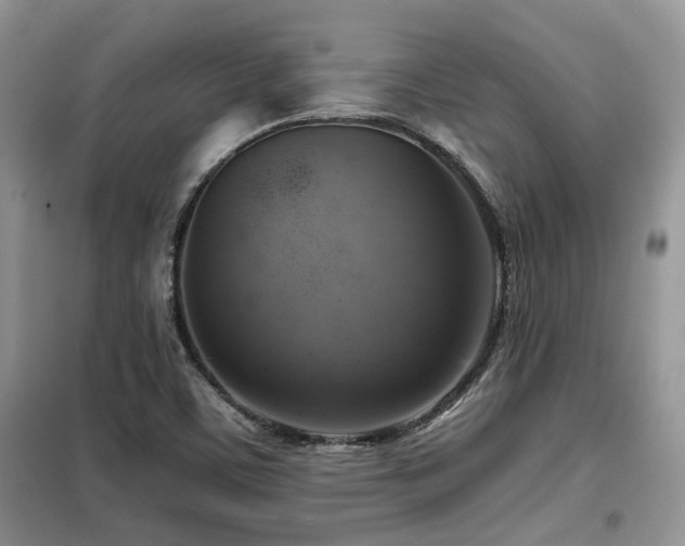 X0000099451459200805091455