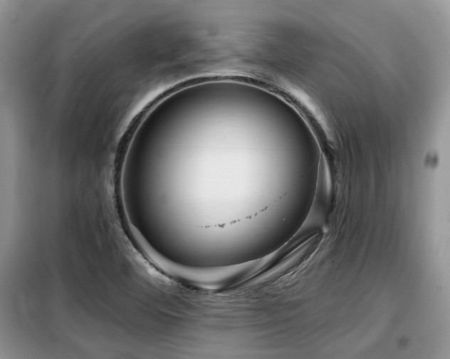X0000099451460200805091455
