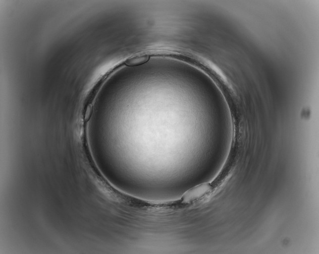X0000099451461200805091455