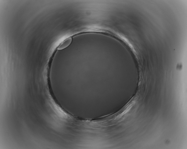 X0000099451463200805091455